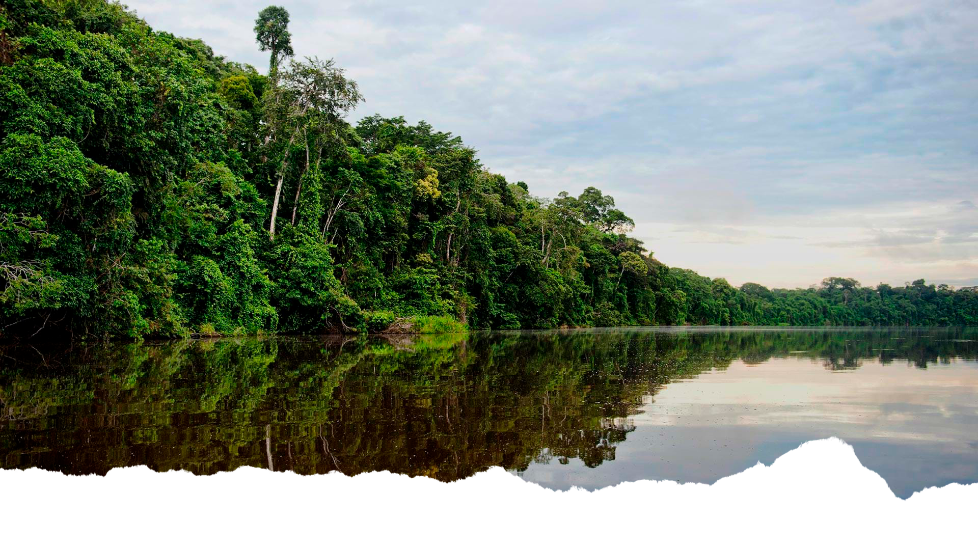 Tambopata