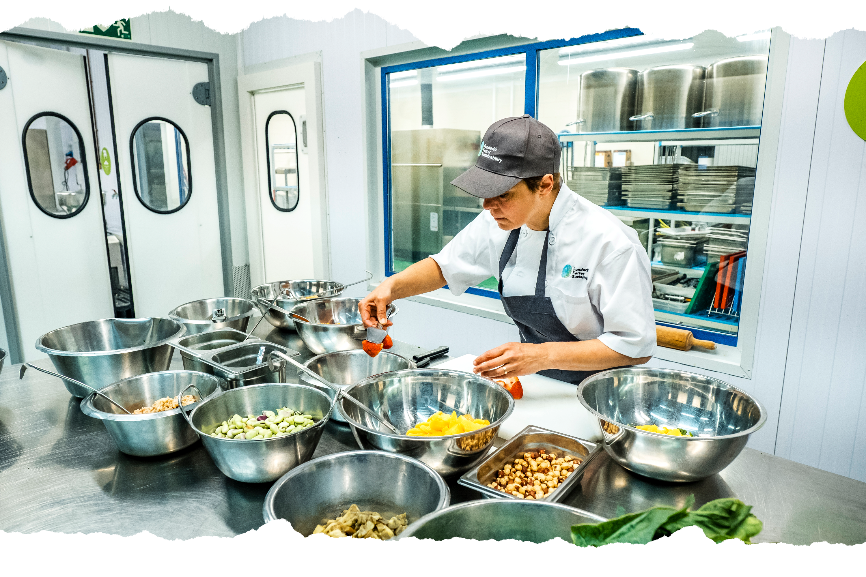 alimentacion ferrer